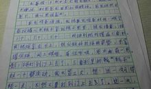 [暑假生活]夏夜趣事_100字