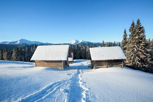 美丽的雪景_800字