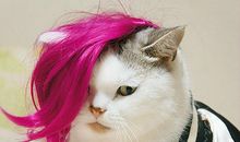 愚人节增添生活乐趣_500字