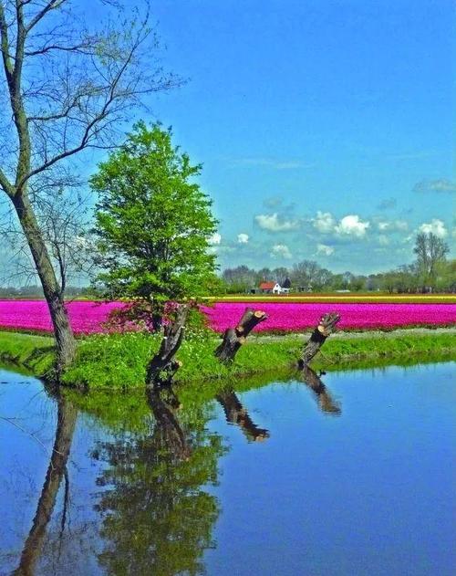 春天，季节_500字有多漂亮