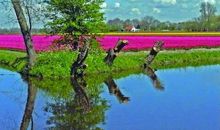 春天，多么美丽的季节_500字