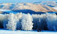 门外的雪景_400字