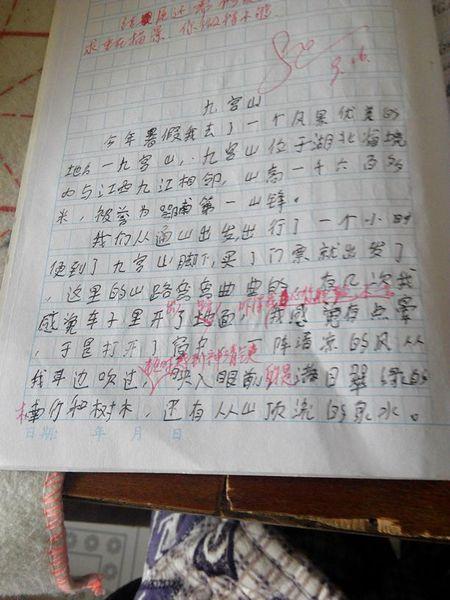 手_900字