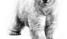 都是“馋嘴”惹的祸_200字