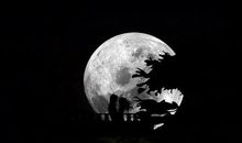 宇宙海盗艾里逊题记——II_350字