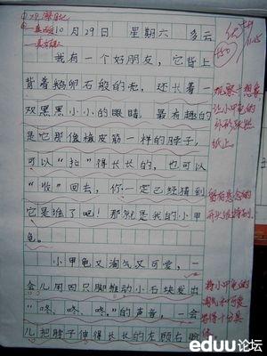 我的访问_600字
