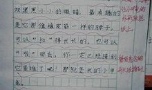 我的参观记_600字