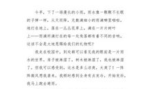 《雨 城》第四章_350字