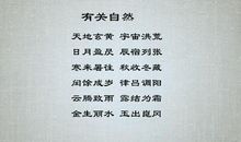 《雨 城》第十一章_500字