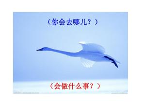 如果我有尼尔斯的鹅_750字