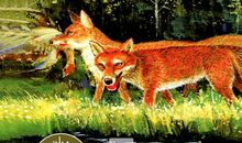 狐狸第二次骗肉_350字