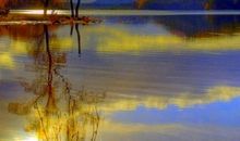 小溪和大海_600字