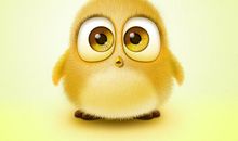 小小小小鸟_800字