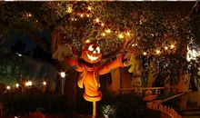 精彩万圣节_500字