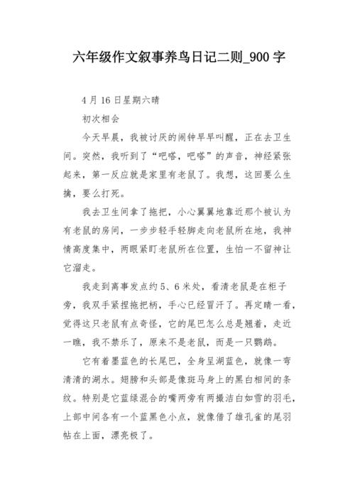 小鱼目录_900字