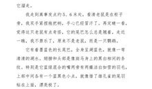 小鱼历险记_900字