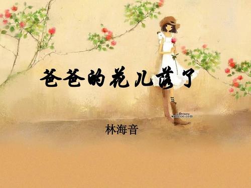 爸爸的鲜花，我不再是个孩子。 _450字