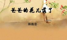 爸爸的花落了，我也不再是小孩了。_450字