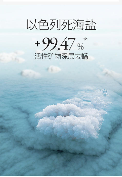 第二“死海”（继续写作张吉）_550字
