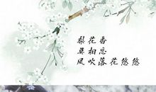风吹落花，我心已凉_200字
