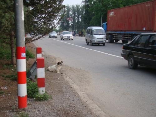 看旁边的道路_900字