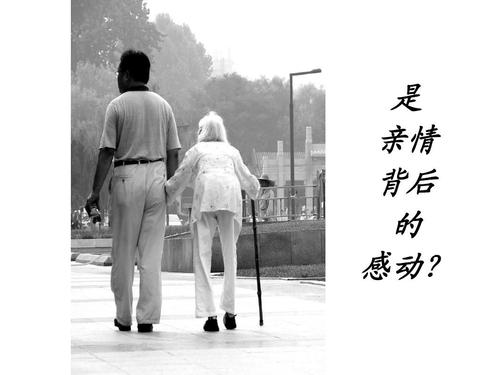 内存中的固定屏幕_500字