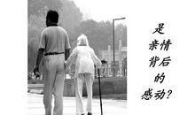 定格在记忆中的画面_500字