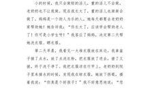 胜似亲人 _300字