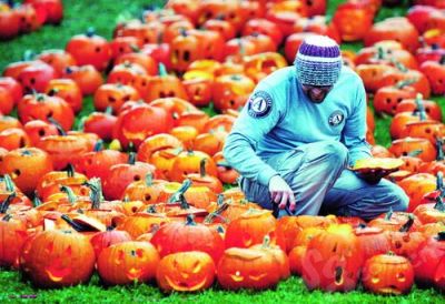万圣节相关：Jack-O-Lantern“来源_800字