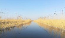 春天的童话_1500字