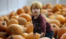 万圣节的陈设设计色彩--橙色_1200字