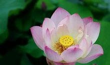 《雨 城》第九章_750字