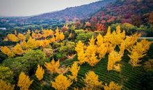 [暑假生活]这里风景独好_700字