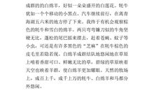 玫瑰鸭的婚事_800字