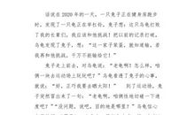 六年级童话寓言作文：《龟兔赛跑》续集_700字