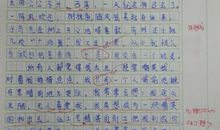 学校故事（二）_450字