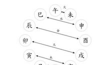 可怜的“神算”小猪_550字