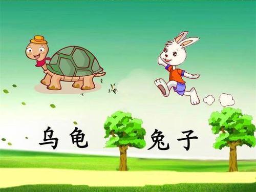 新乌龟兔子_1500字
