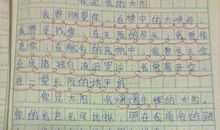 犯法的老狼_600字