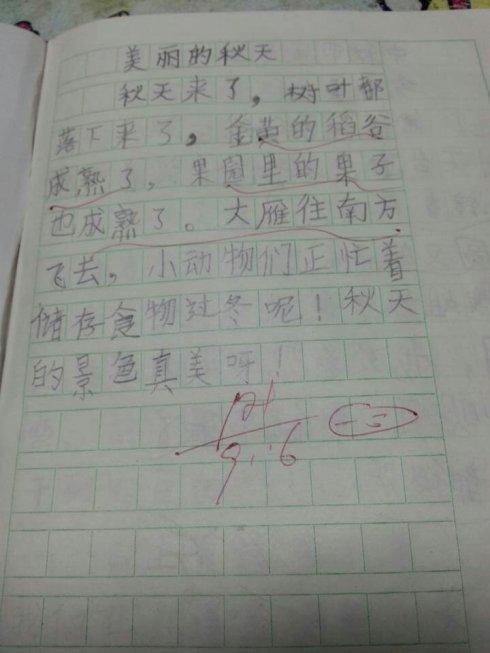 关于秋季果园成分：秋季乌拉德_800字