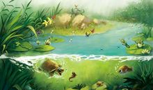 狐狸的美餐_300字