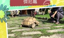 乌龟和蜗牛的赛跑_600字