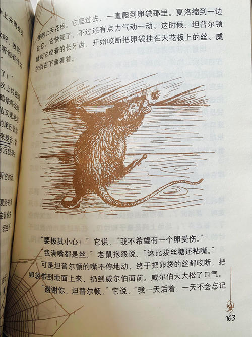 鹅妈妈裁缝_1000字