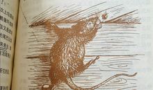 鹅妈妈告状_1000字