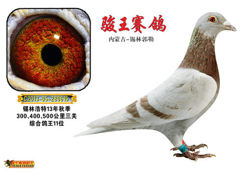 道王_1200字