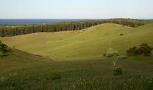 圣安德奇遇记[二十七]_600字