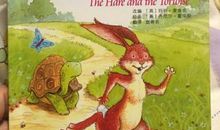 龟兔赛跑新传_450字