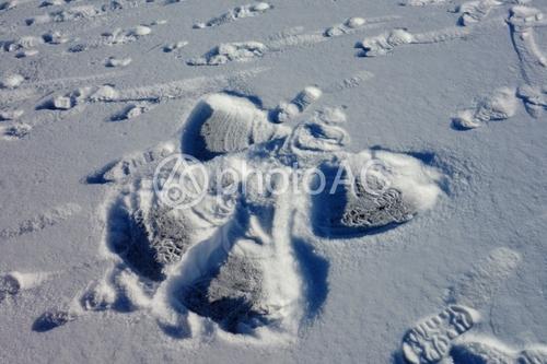 雪天使_500字