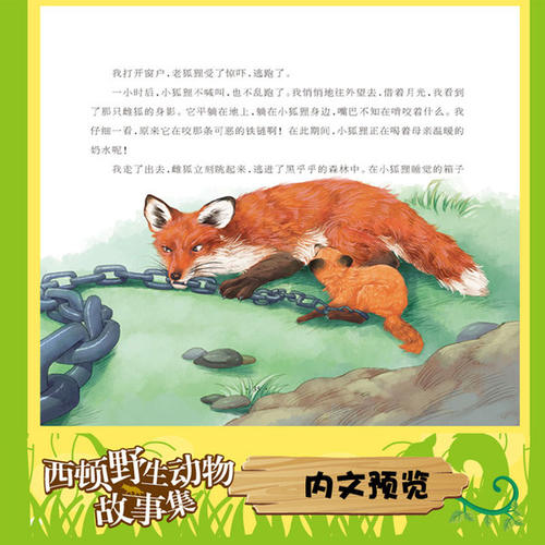 猫咪小说在我的眼中_600字