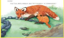 我眼中的动物小说_600字